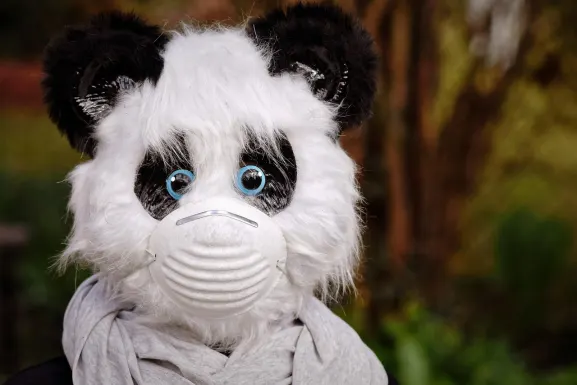 Казино Хот Лайн Поддръжка